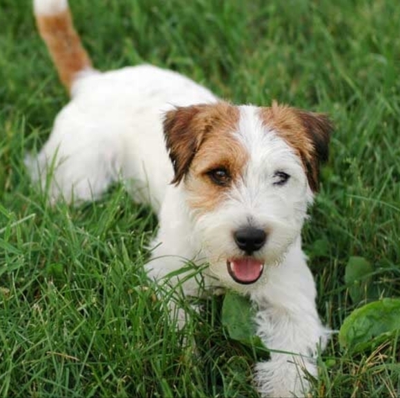 BOOKMARK MY CLOSET - Picture 1 of 1